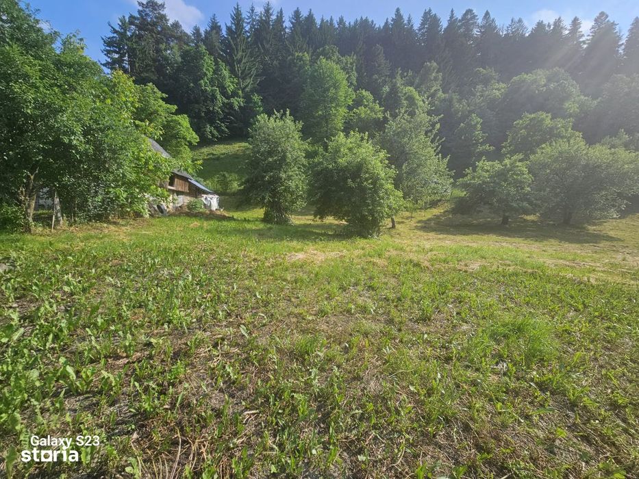 Teren de Vânzare – Vădurele | Ideal pentru Casa Ta de Vis!