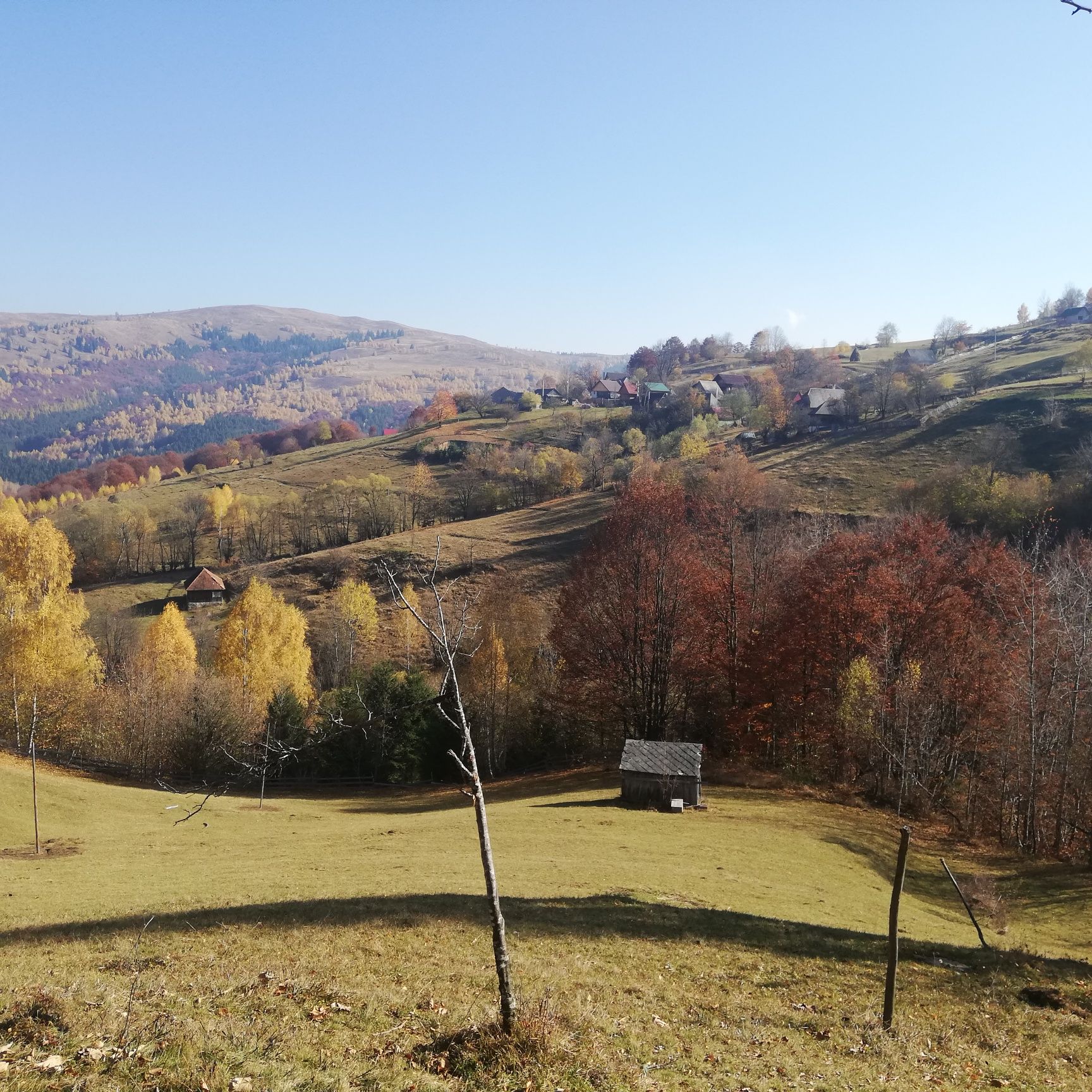 Teren de vânzare