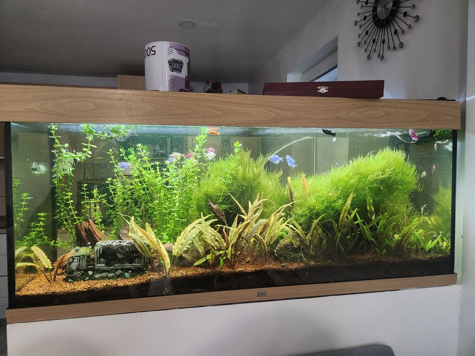 Acvariu Juwel Rio 240 litri