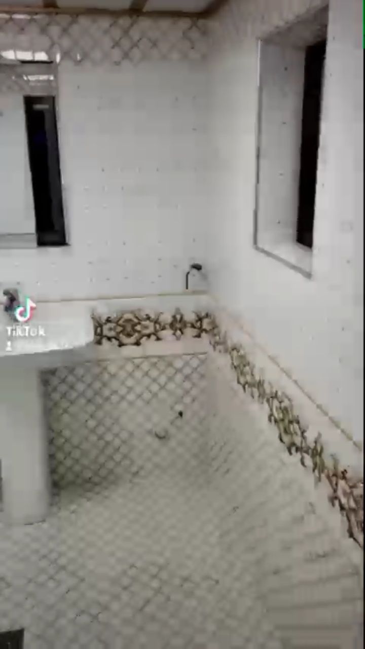 Кафель плитка тераман