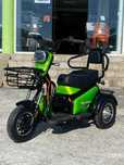 Електрическа триколка Pudding 1800W-48V-20Ah-Зелена