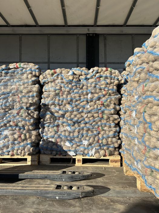 Cartofi alb si rosu import en gross