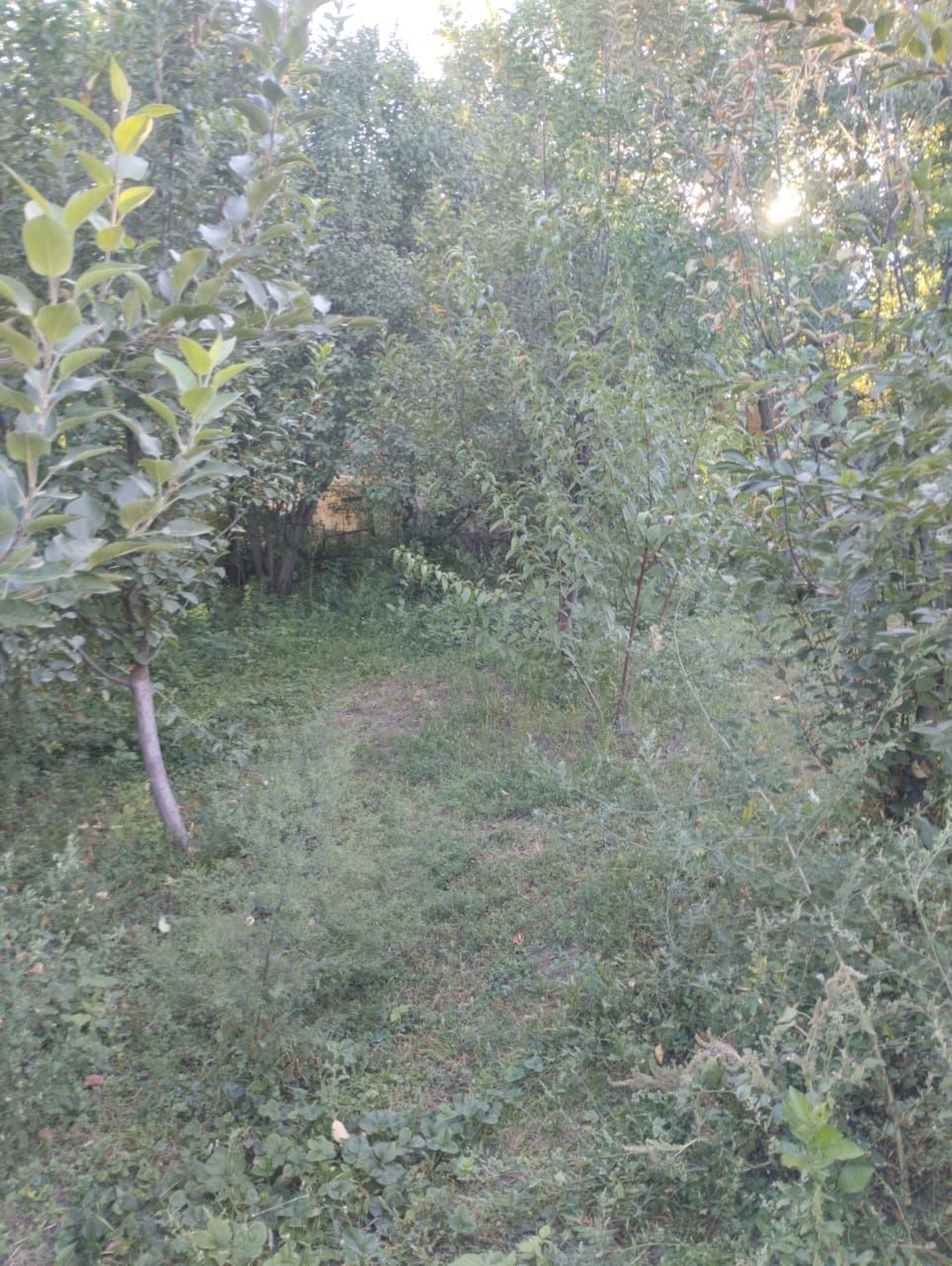 Продам Дом в Кировске.