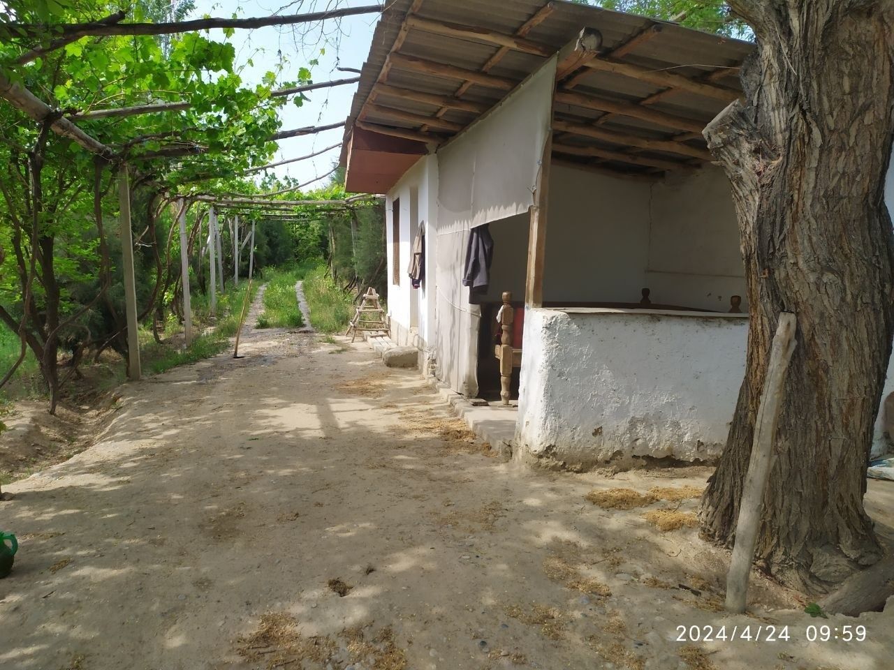 Dakumentlari joyida