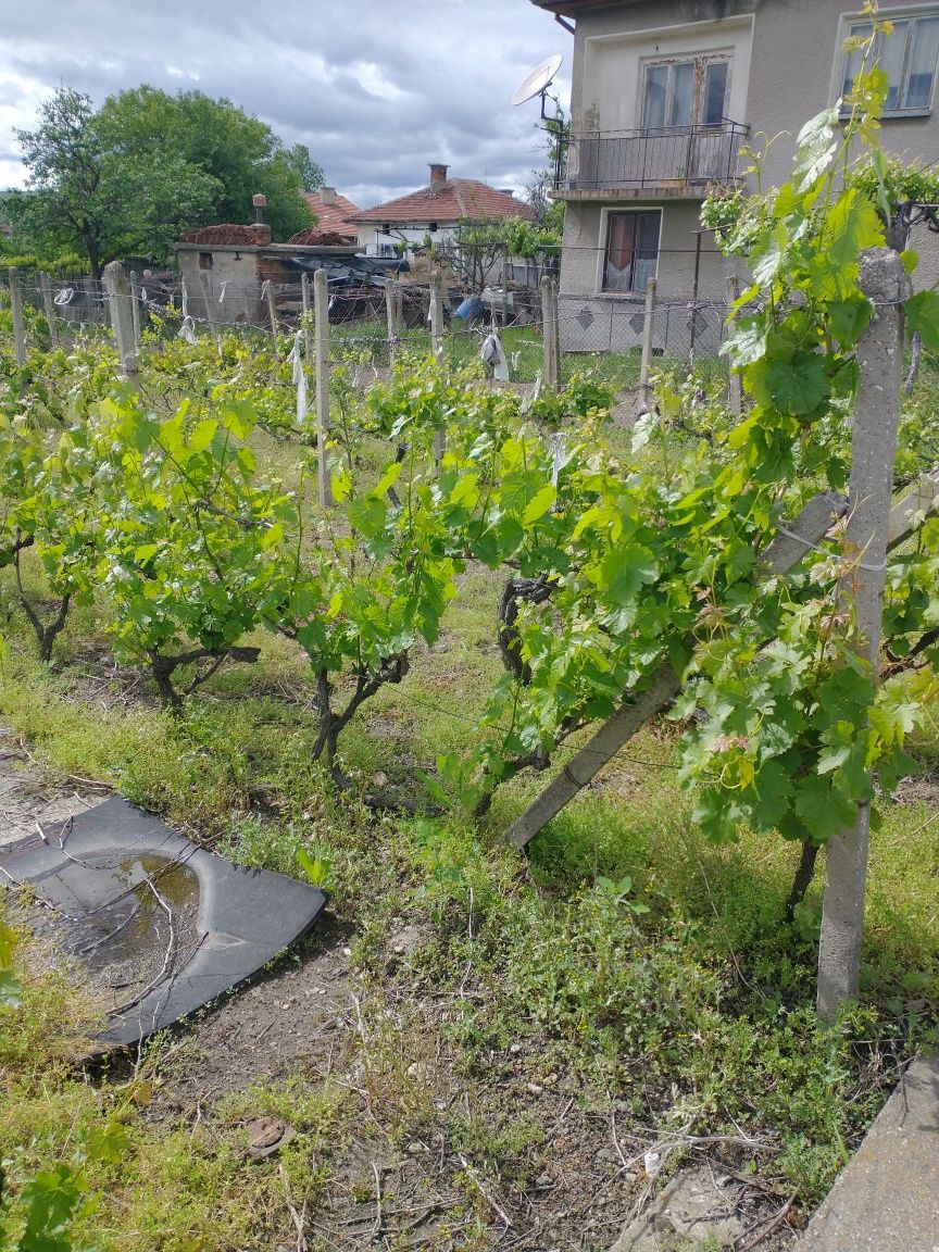 Продава УПИ 405кв.м-с.Големо Село община Бобов дол