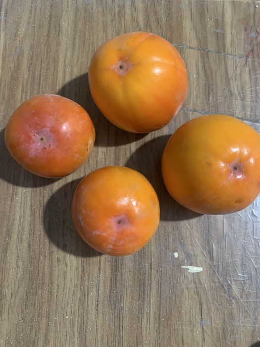 Hurmo damashni sotladi optom narxida