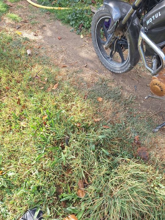 Xolati chotki mazza qilib minaslar