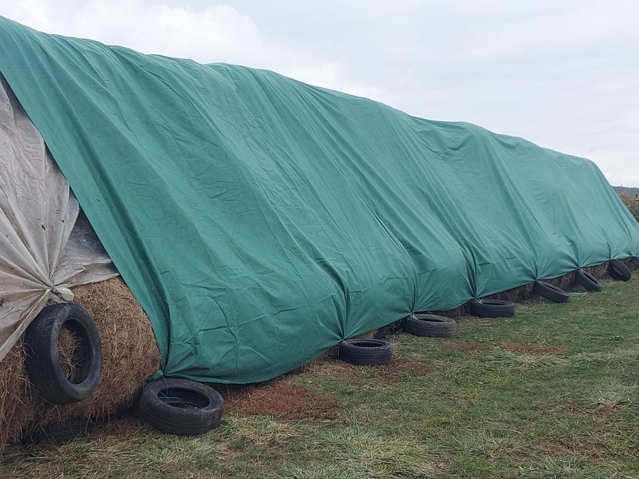 Baloti de otavă disponibili