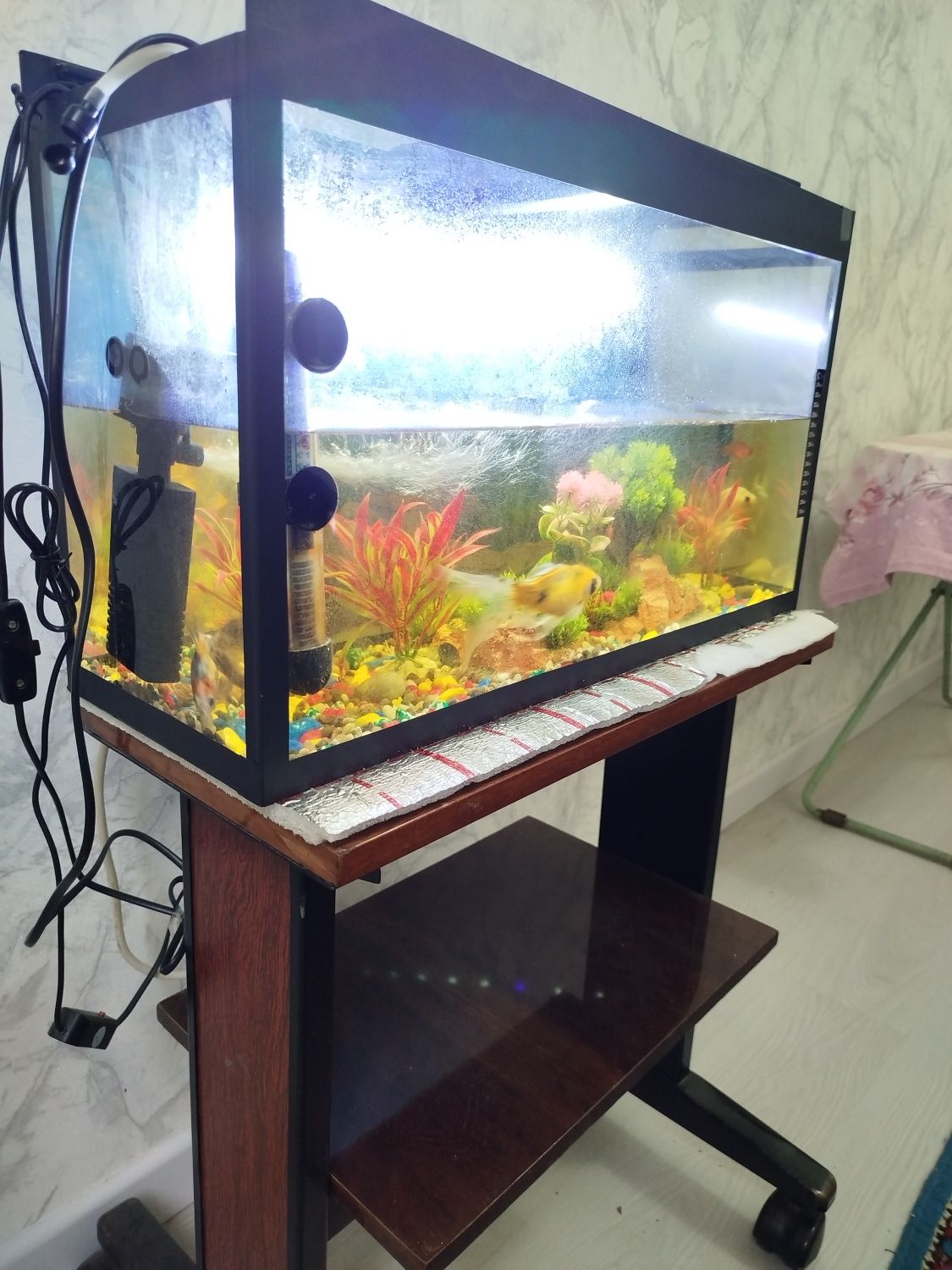 Akvarium va  baliq sotiladi