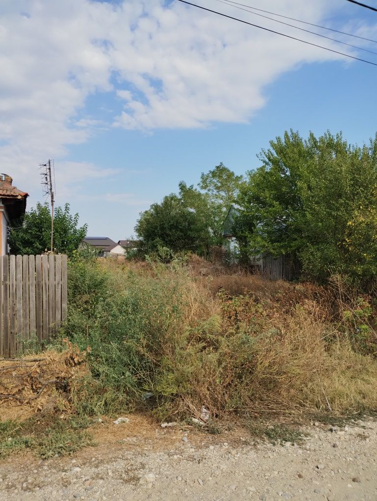 3300 mp intravilan, construibil, Tartasesti, utilitati