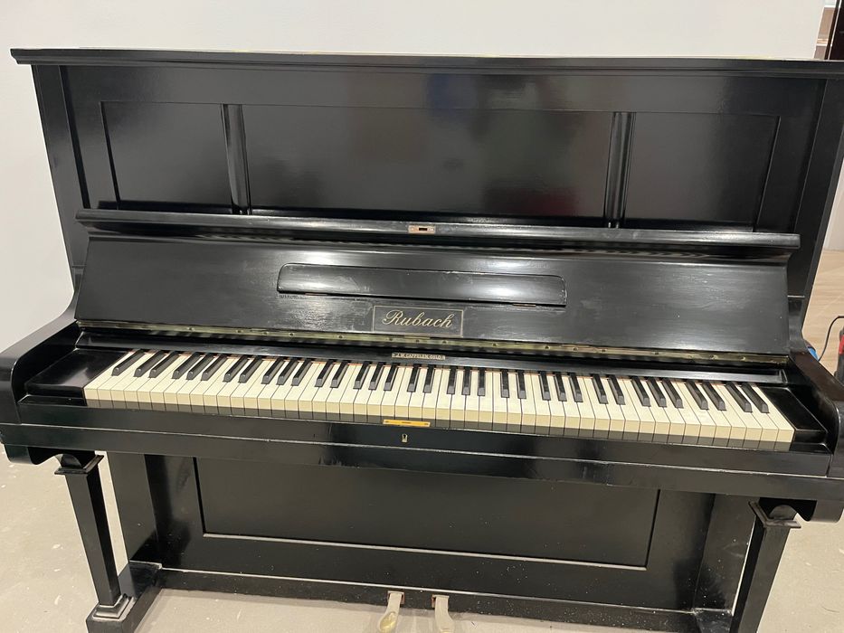 Pian Rubach Oslo