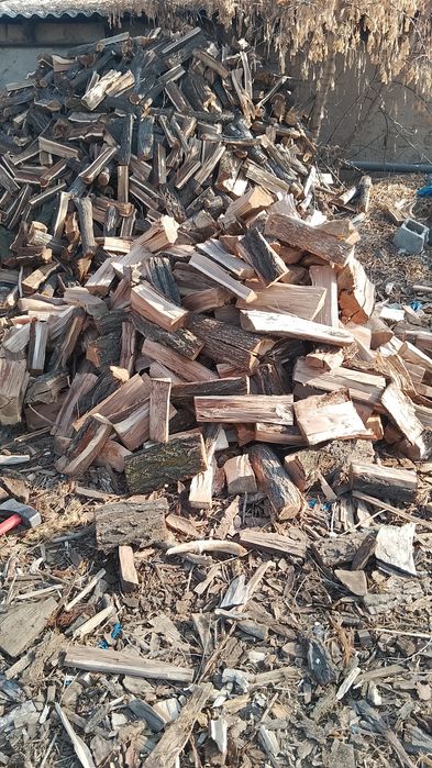 Дрова карагач продаю