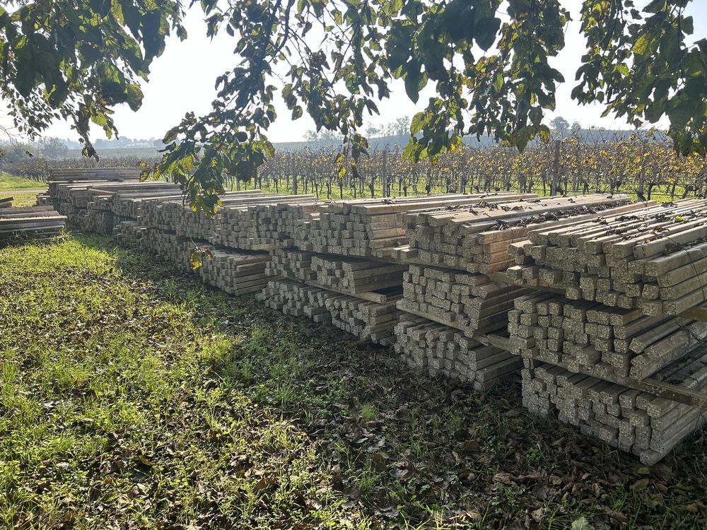 STALPI DIN BETON cu 4 fire de fier