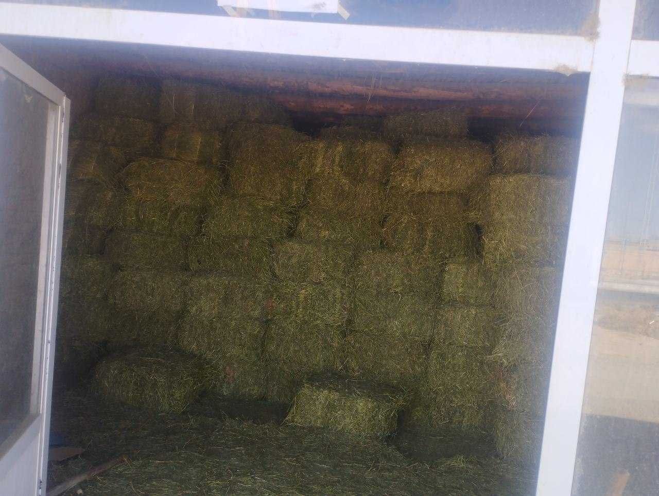 Navoiy viloyati Nurota tumanida noturar bino inshoot sotilmoqda