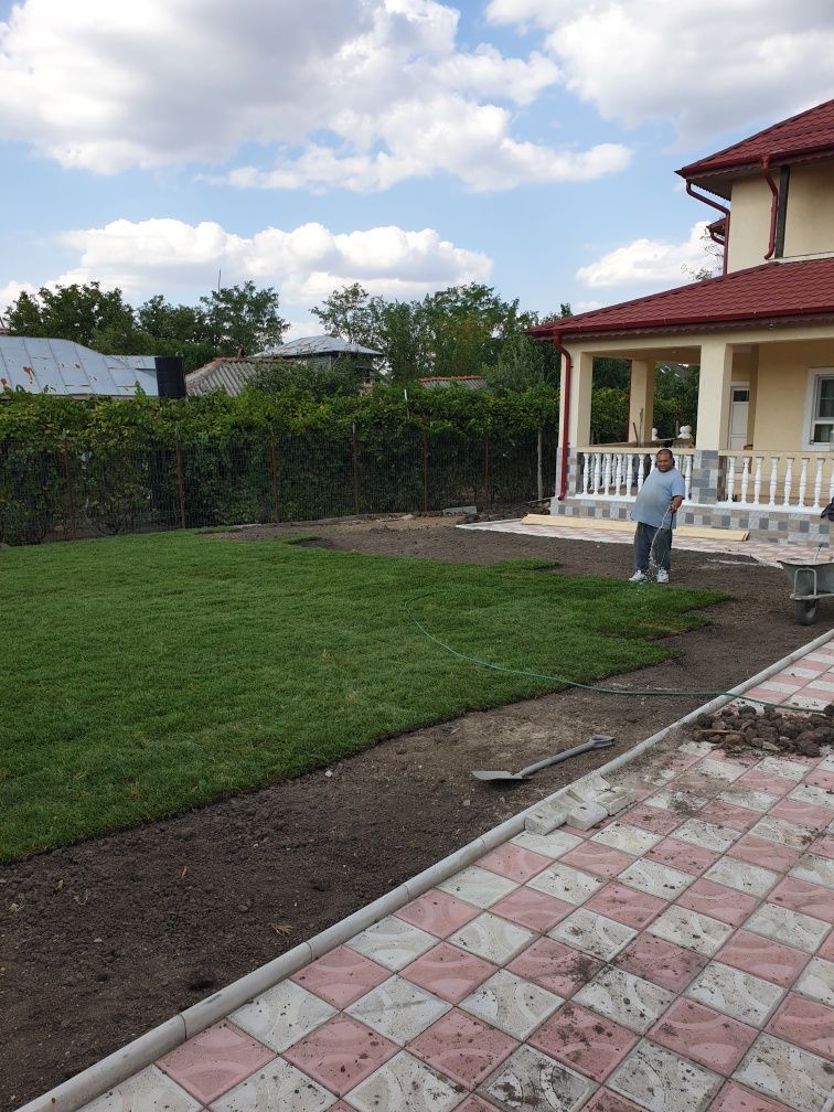 Pepeniera plante ornamentale lângă Sinaia