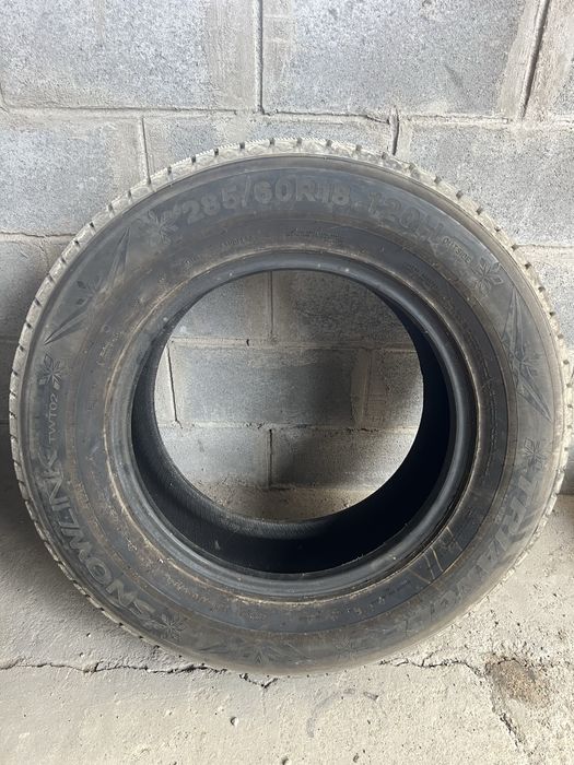 Зимние шины Triangle