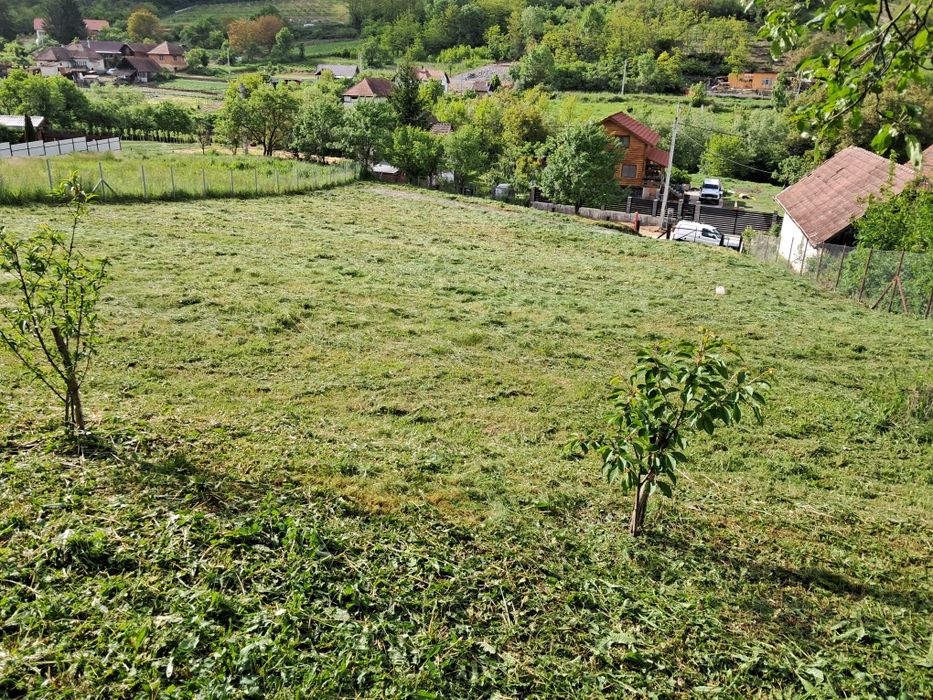 Executam lucrări de defrișat terenuri ,cosit iarba ,tăiat copaci