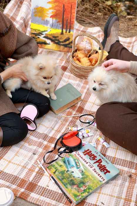 Продается собака