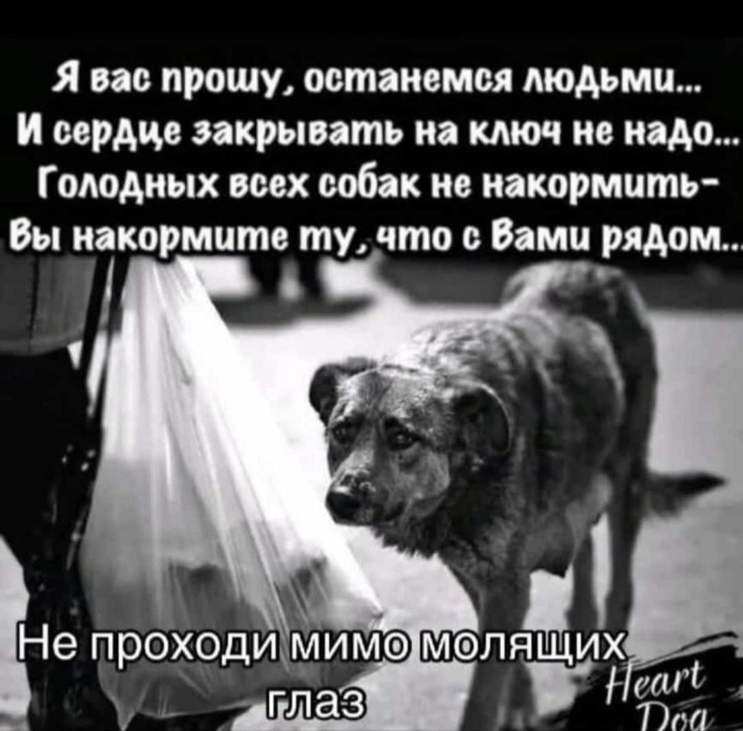 Мальчикам и девочкам нужны дома отзовитесь Добрые любящие люди