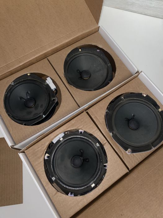 Жентра Мафон калонка