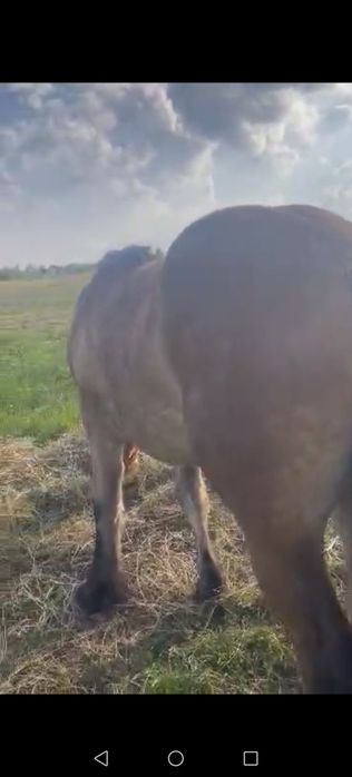 Manza 1 an jumate foarte blândă