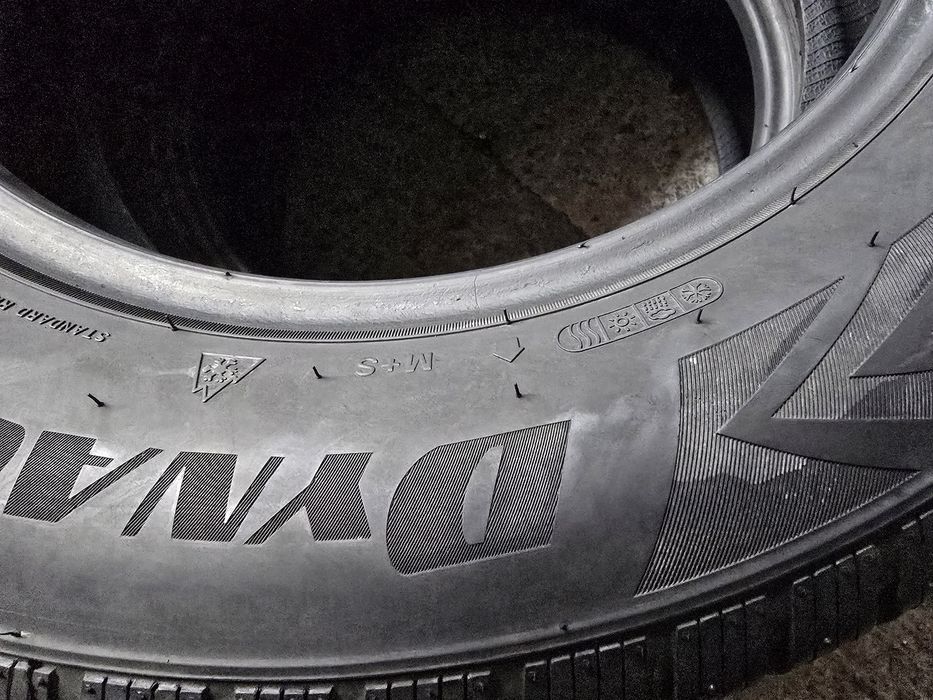 Evergreen 195/65 R15 91H MS all season