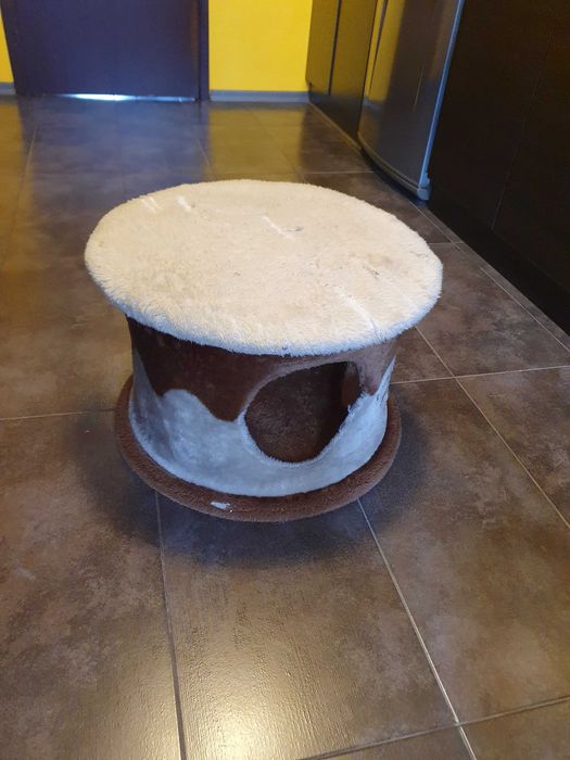 Котешки катерушки