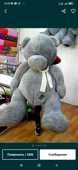 Teddi Teddy ayiqchalar (50sm 3m)