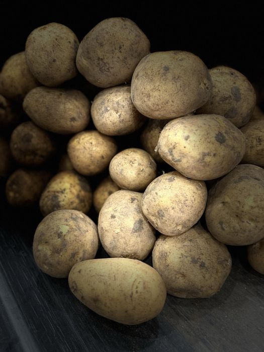 Оптовая продажа картофеля с Павлодара