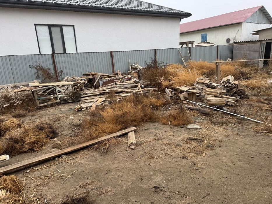 Ағаштар, ит үйі, отынға ағаштар. Тақтайлар