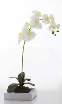 интерьерные композиции из искусственных орхидей