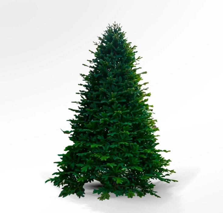 Новогодние ёлки для вашего дома