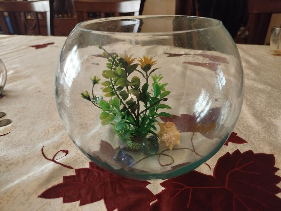 Аквариум сотилади