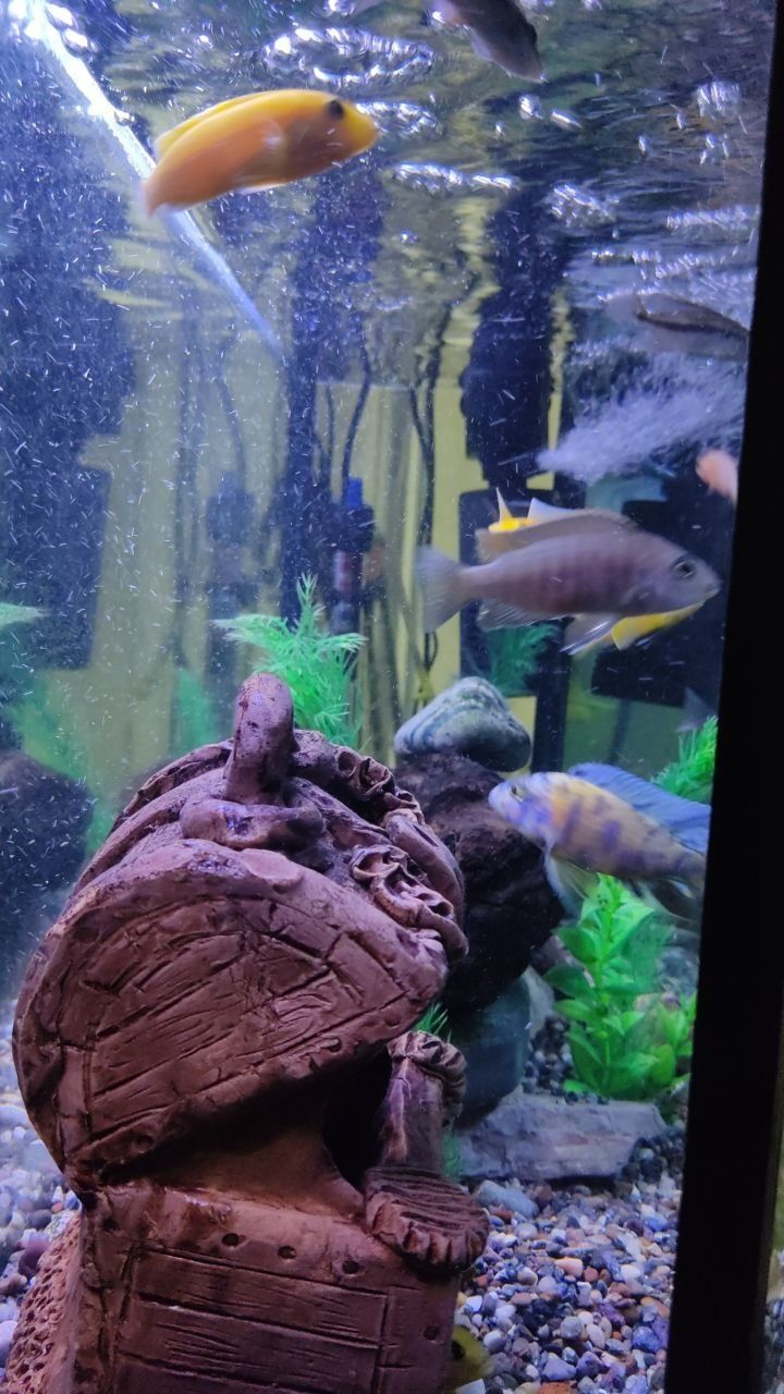 Akvarium 100 litr 900 000
