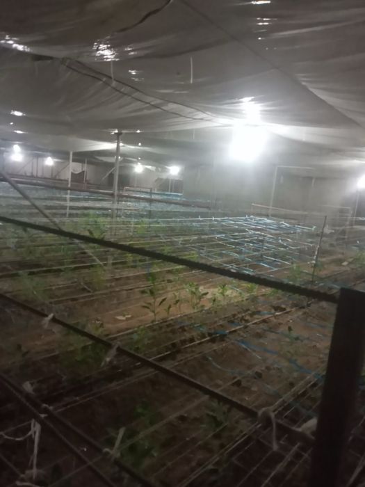 Выдается в аренду