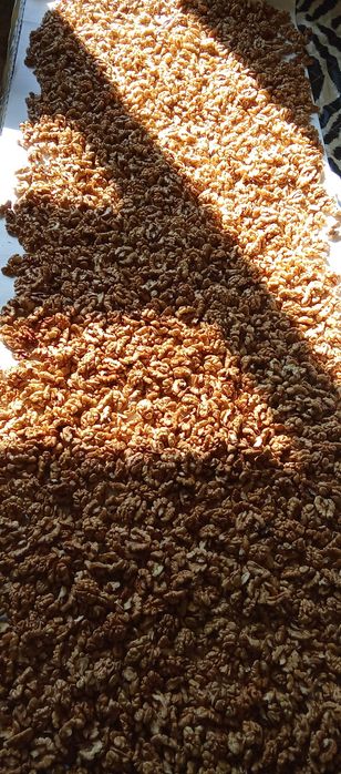 Орехи ядка , Био супер храна , Еко производство.