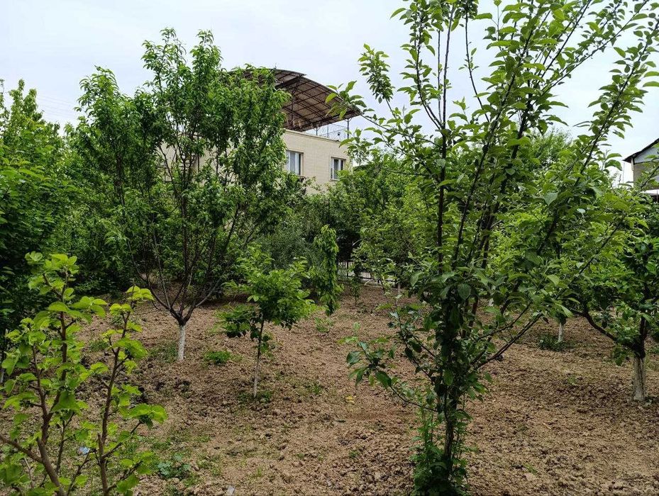 Продается Дача Паркентский район махаля Новбахор