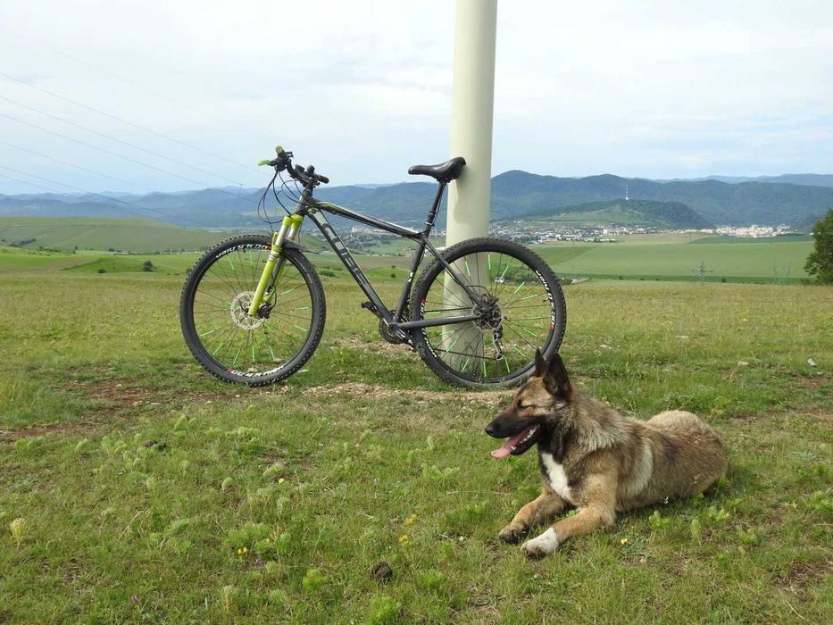 Bicicleta Cube LTD roti 29