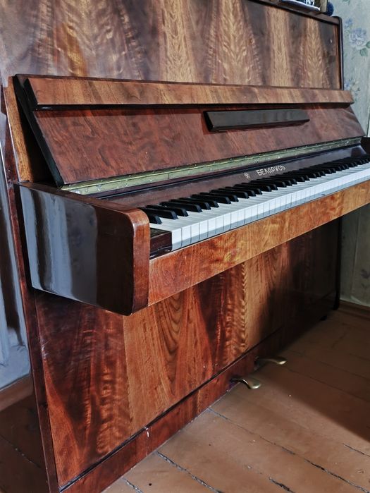 Беларусь pianinosi