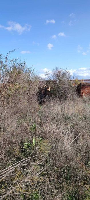 Продава се Парцел в с. Сираково, Област Хасково - 1000 кв.м за 18 €/кв.м - Снимка #7