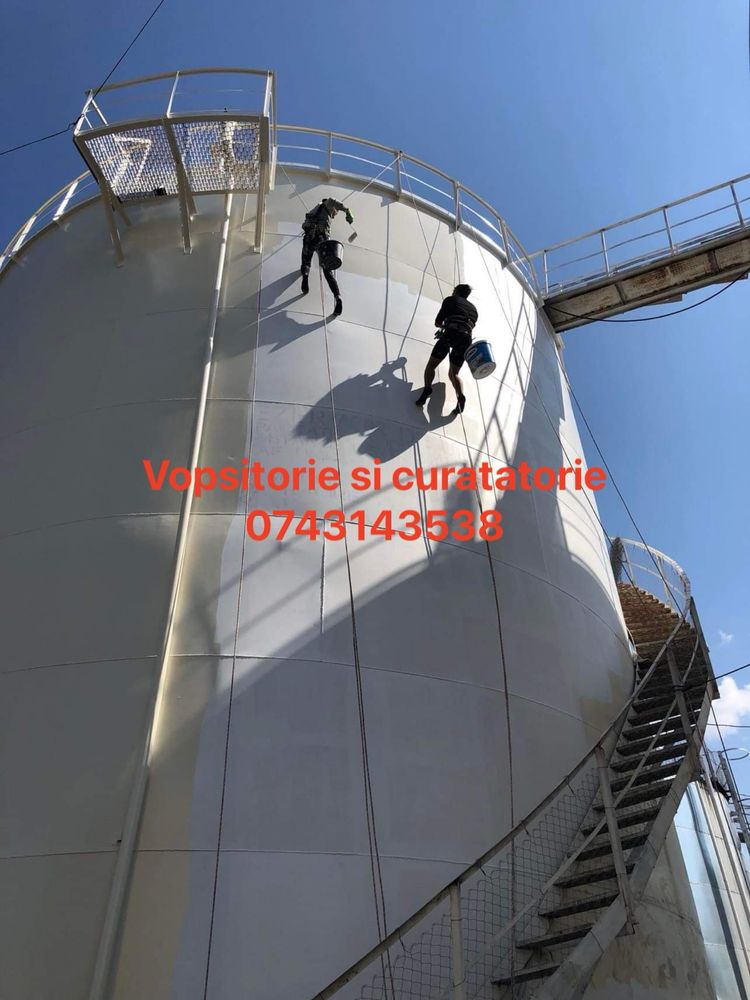 Servicii de alpinism utilitar,termosisteme,vopsitorie ,igienizari!