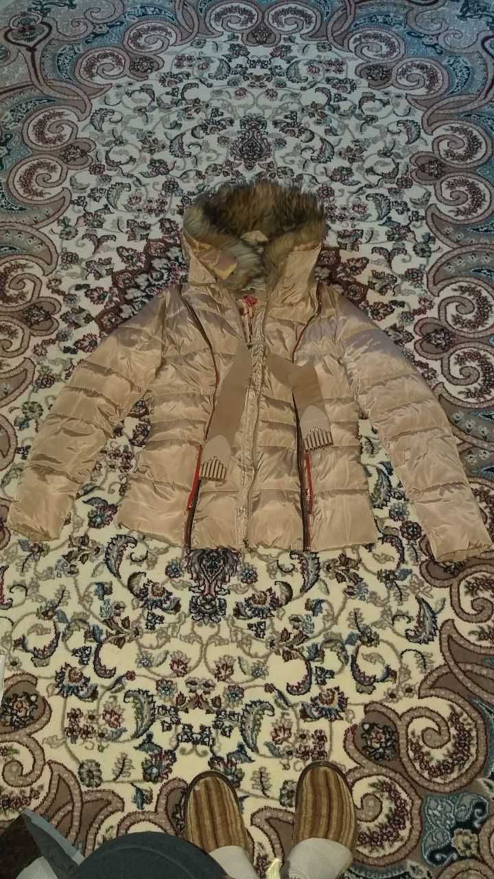 Куртки женские осенние зимние