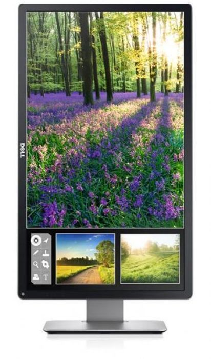 Монитор Dell P2414Hb FULL HD IPS