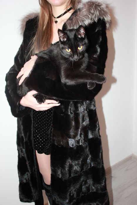 Haina de blana naturala neagra, vizon cu guler de vulpe argintie