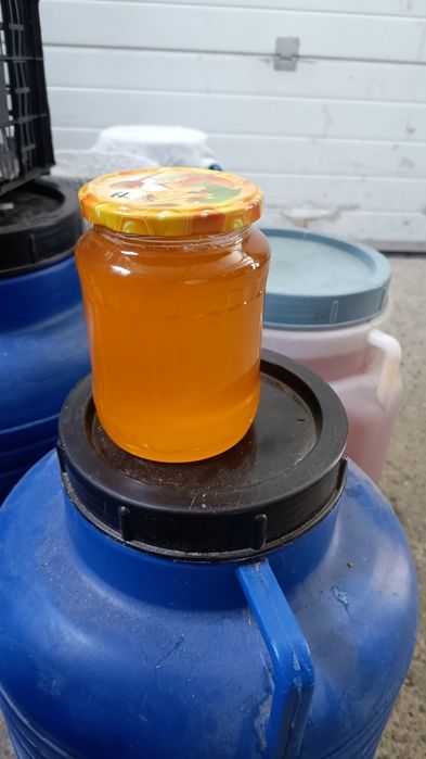 Miere de albine minim 40 kg.bidon