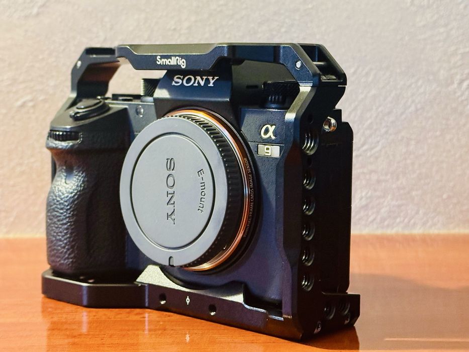 Sony A9 (prima variantă) – 159.000 cadre