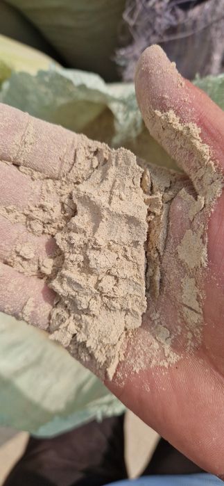 Sholi po'chogini un Holata chiqarilgani bor