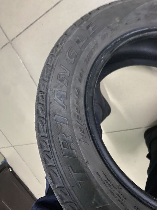 Зимние шины Triangle