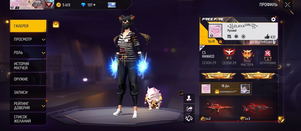 Фф акаунт хороший