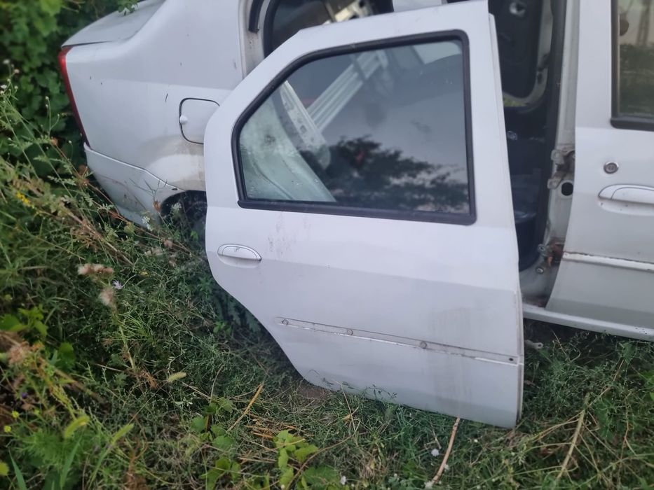 Usa fata stânga, dreapta dacia logan